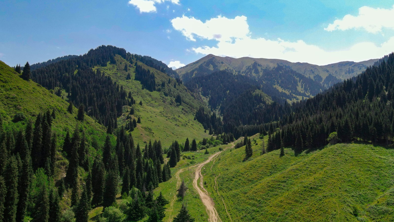 A green valley with a road winding between forested mountain slopes at Butakovka