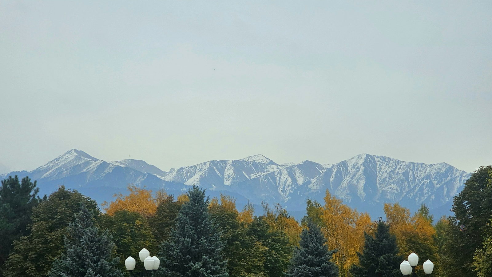 Autumn trees in a city park with the snow-covered Trans-Ili Alatau rising behind them