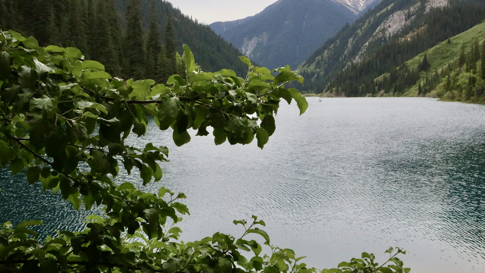 A still mountain lake framed by green foliage, with distant peaks beyond
